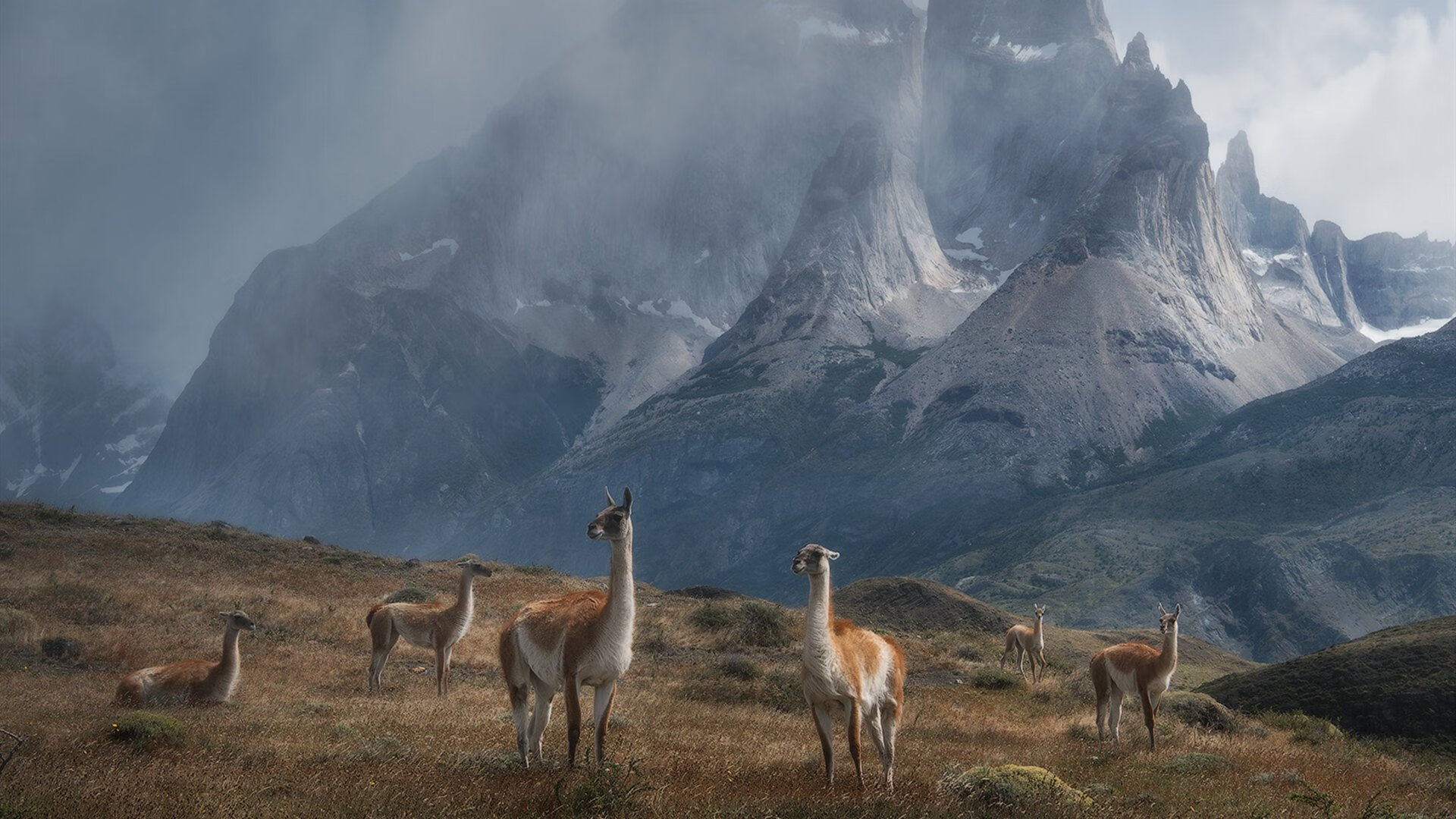 跨界绝杀，从牙买加田径到F1赛道，哈弗茨的接管哲学